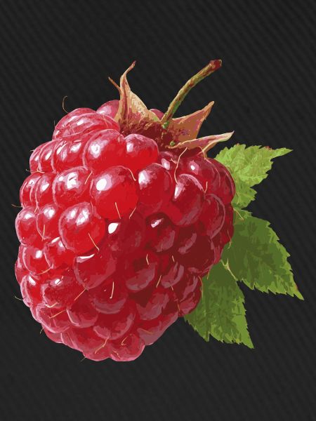 rote Himbeere