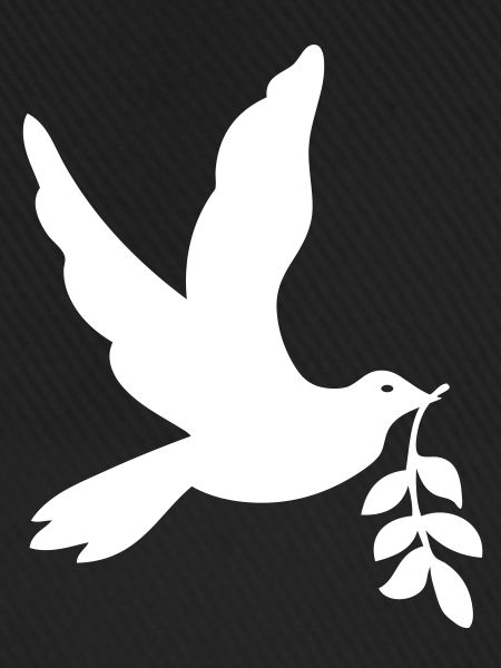Dove of Peace, taube