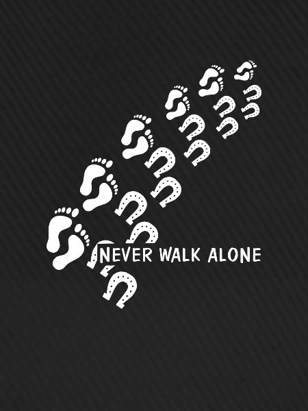 never walk alone pferd