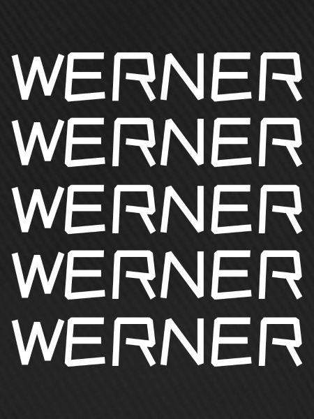 Jungeselle Werner