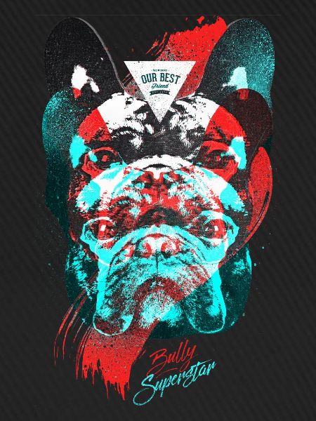 Bully Superstar
