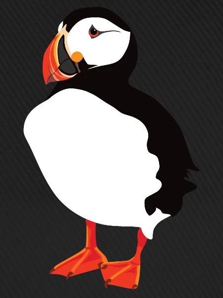 Puffin Solo