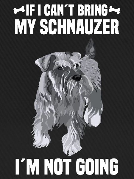 Schnauzer