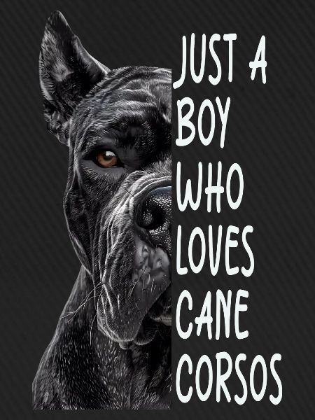 Cane Corso
