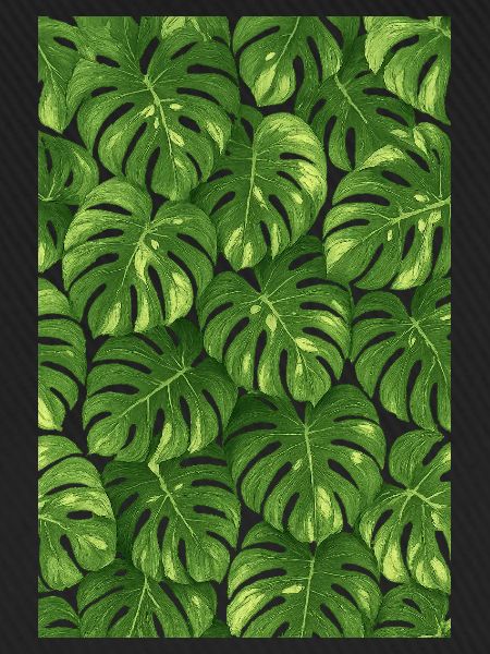 Monstera