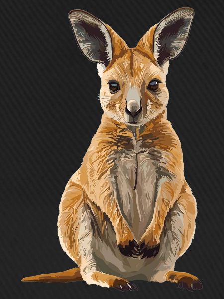 Wallabys Wallaby