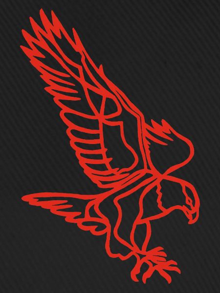 Roter Adler im Flug