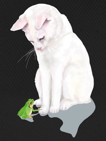 weiße Katze trifft Frosch
