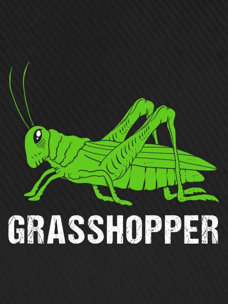 Grashüpfer Heuschrecke