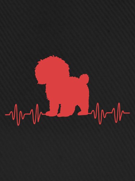 Goldendoodle