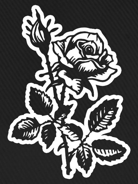 Rose Blume