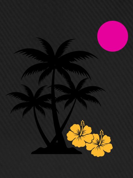 palme sunset