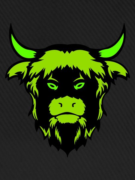 buffalo bull