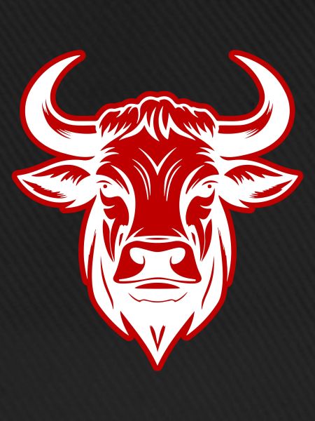 Bulle Kopf Taurus