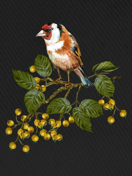 Bunter Vogel