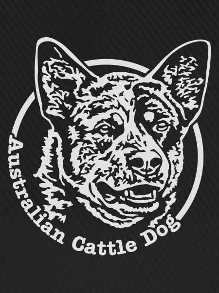 532 Australian Cattle Dog