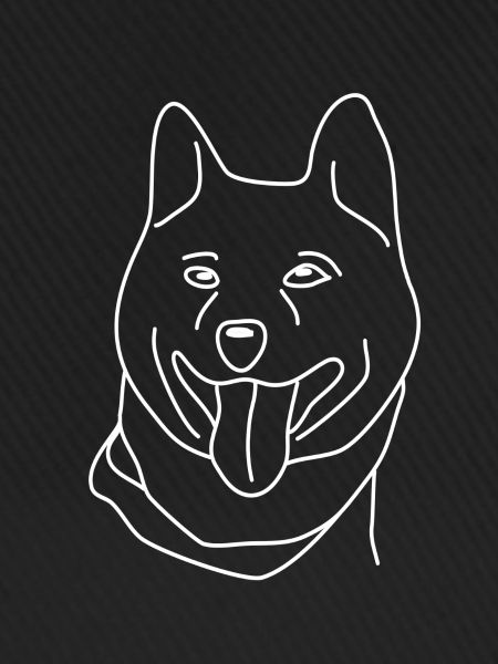 Shiba Inu