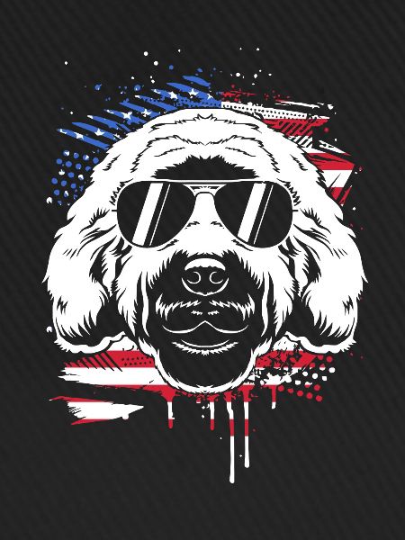 Goldendoodle