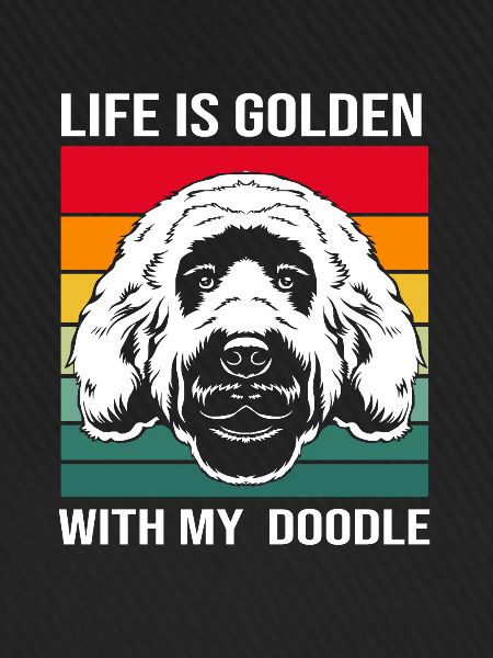 Goldendoodle