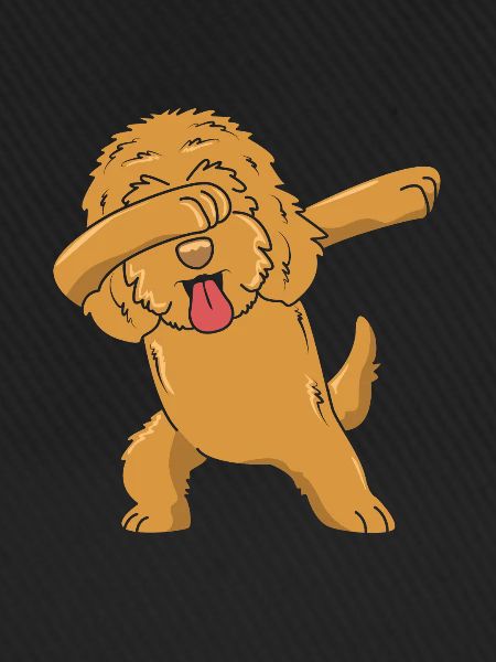 Goldendoodle