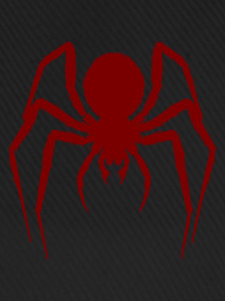 Haarige Spinne
