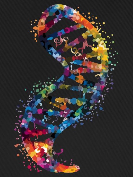DNA-Molekül