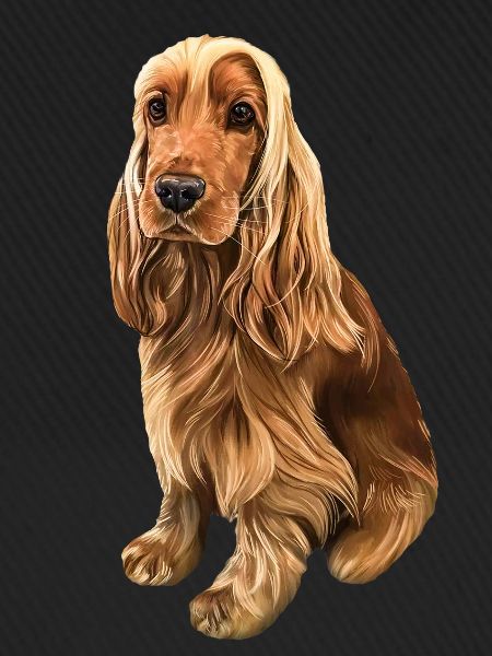 Cockerspaniel Liebe