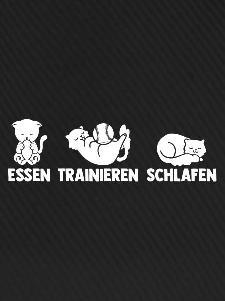 Baseballspieler Baseball