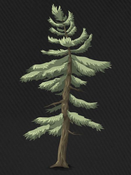 Nadelbaum