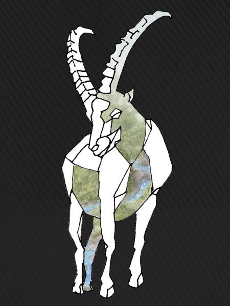 Polygon Capricorn