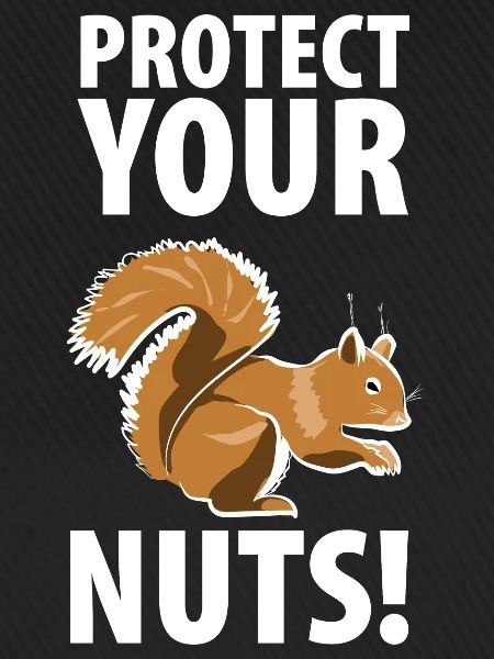 Squirrel Eichhörnchen Dieb Tierpfleger