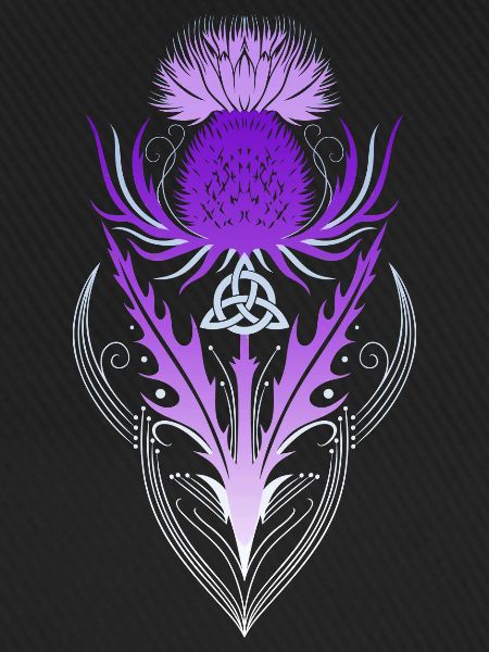 Distel mit Triquetra