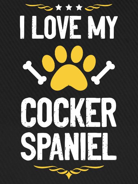 Ich liebe meinen Cocker Spaniel