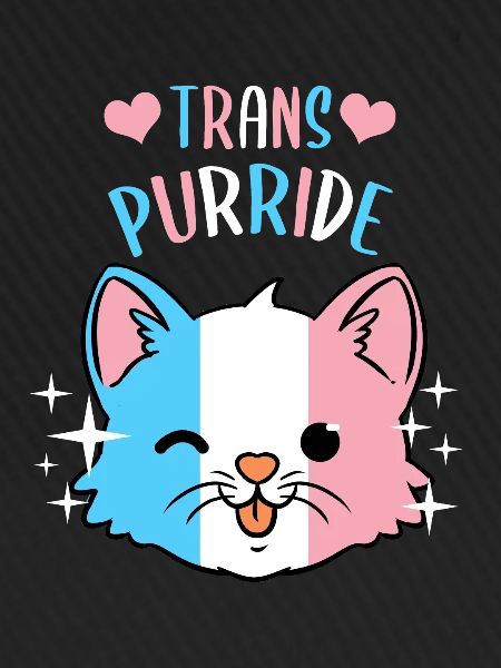 Trans Purride Trans Pride