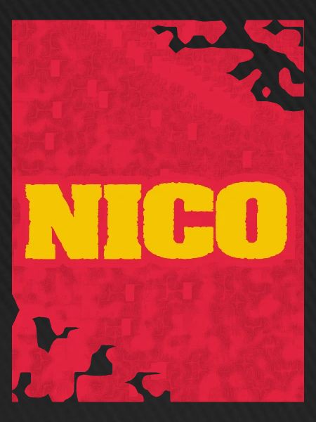 Style und Artwork Nico
