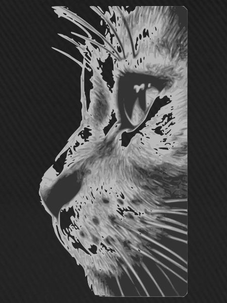 Katzengesicht