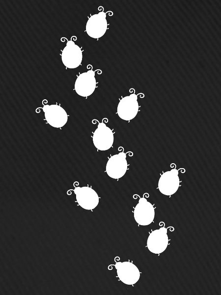 Bug Race