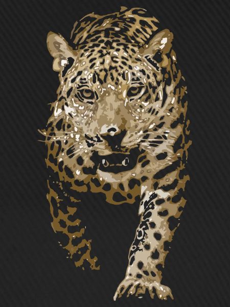 leopard, indische leopard, persische leopard