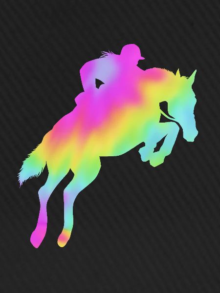 Springreiten Springpferd