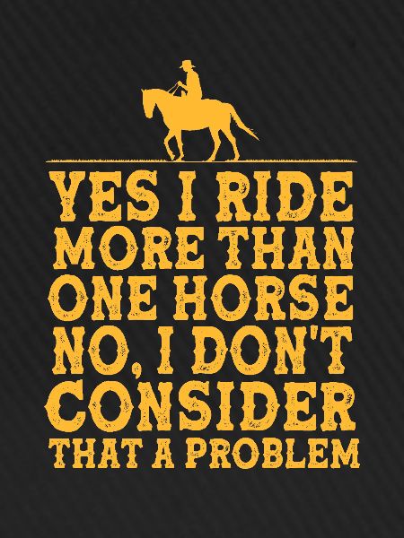 Springreiten Springpferd
