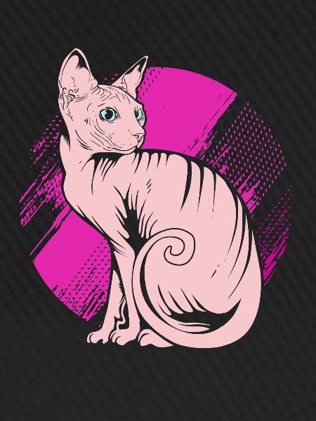 Sphynx