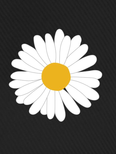 Marguerite tit