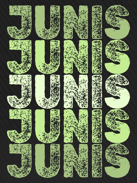 Geburtsname Junis