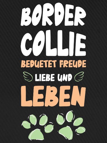 Border Collie Lebensfreude