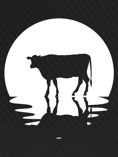 Kreis und Reflexion - Kuh -
