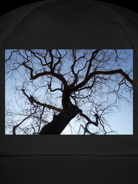 Kahler Baum