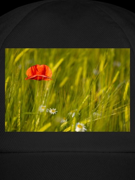 Mohnblume im Kornfeld