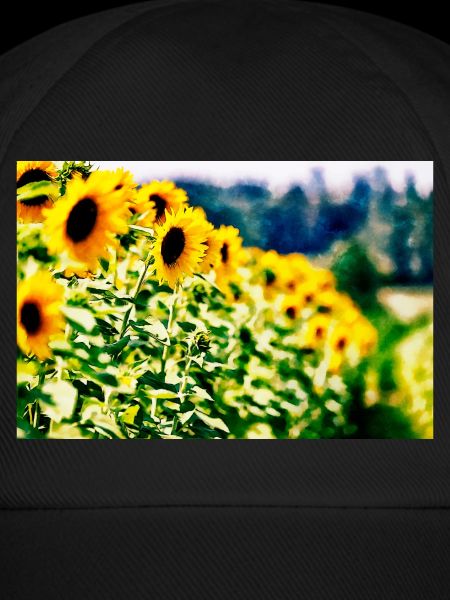 Sonnenblumen