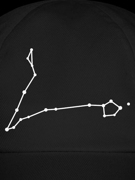 Sternbild Fische Linienzeichnung