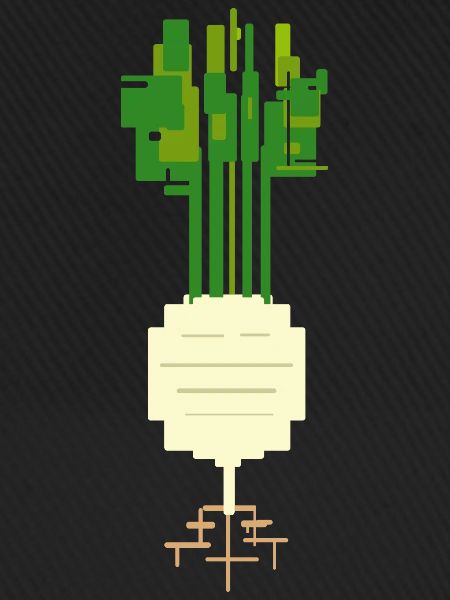 Kohlrabi